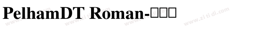 PelhamDT Roman字体转换